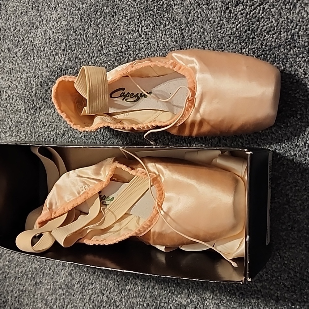 Pointe Shoes